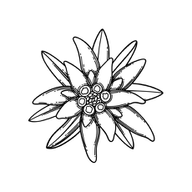 App-Icon